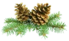 drug